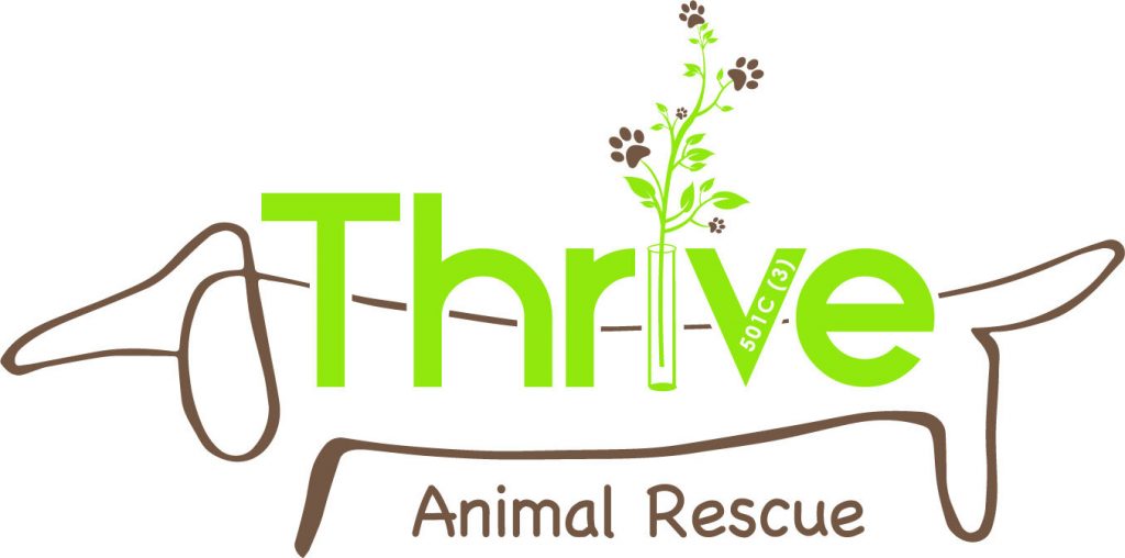 Bagla Law Firm Supports Thrive Animal Rescue