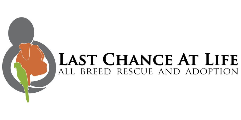 Last Chance At Life - Pet rescue and adoption